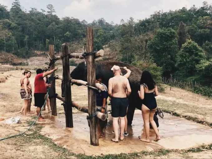 IMAGE 2026-03-07 15:11:48.jpg