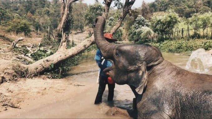 IMAGE 2026-03-07 15:11:50.jpg