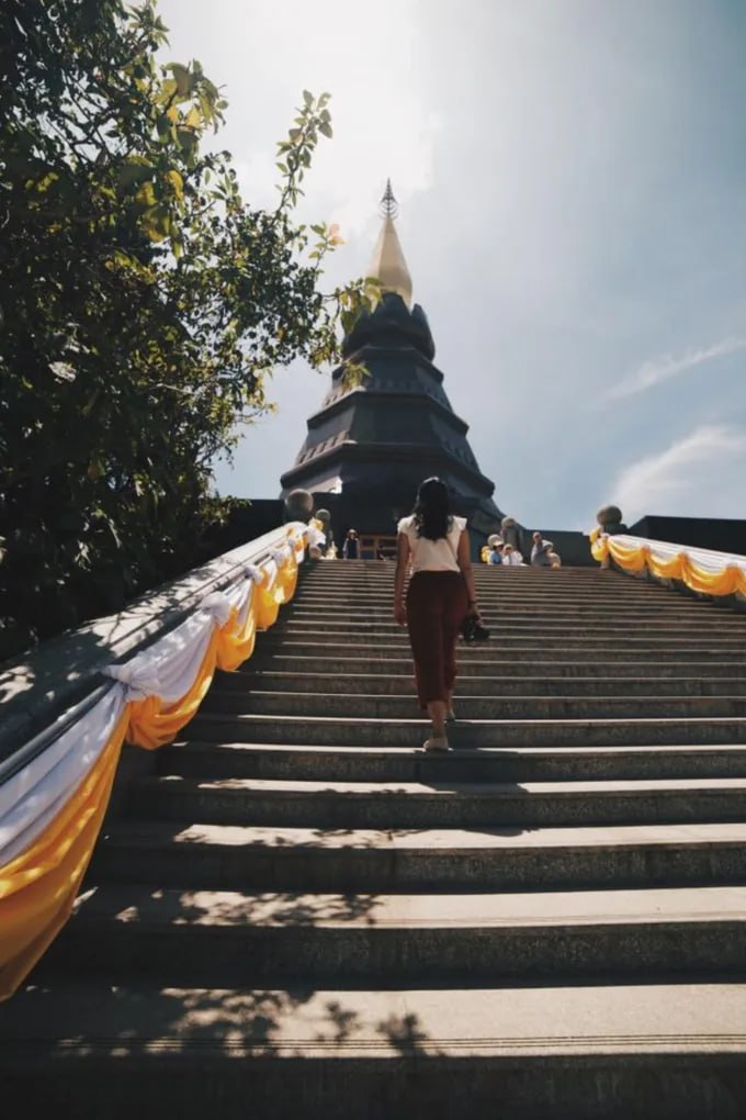 IMAGE 2026-03-07 18:19:55.jpg