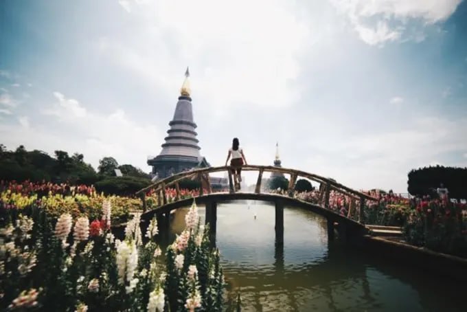 IMAGE 2026-03-07 18:19:56.jpg