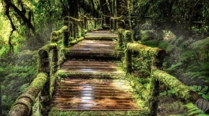 IMAGE 2026-03-07 20:10:28.jpg