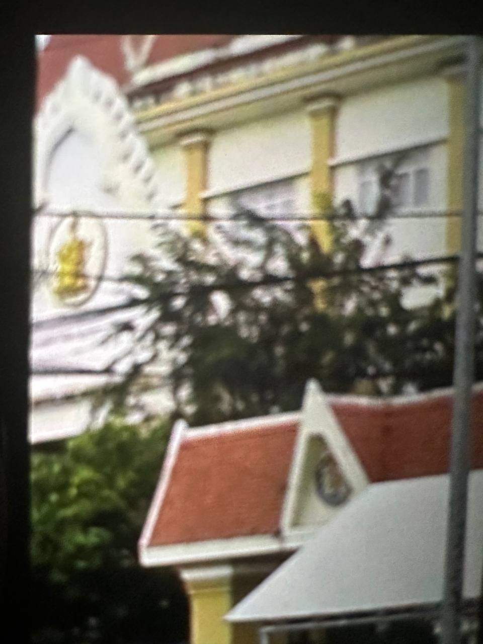 IMAGE 2026-03-09 15:45:38.jpg