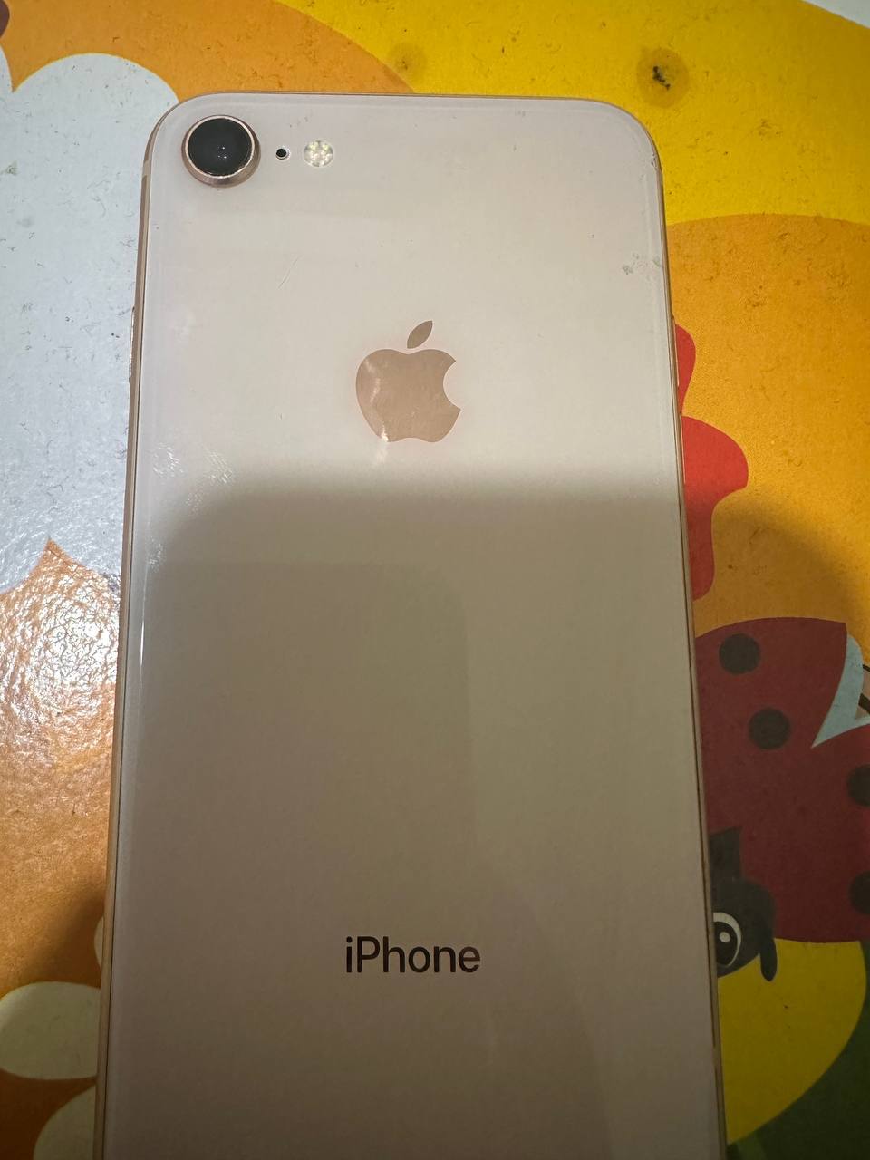 IMAGE 2026-03-10 14:00:16.jpg