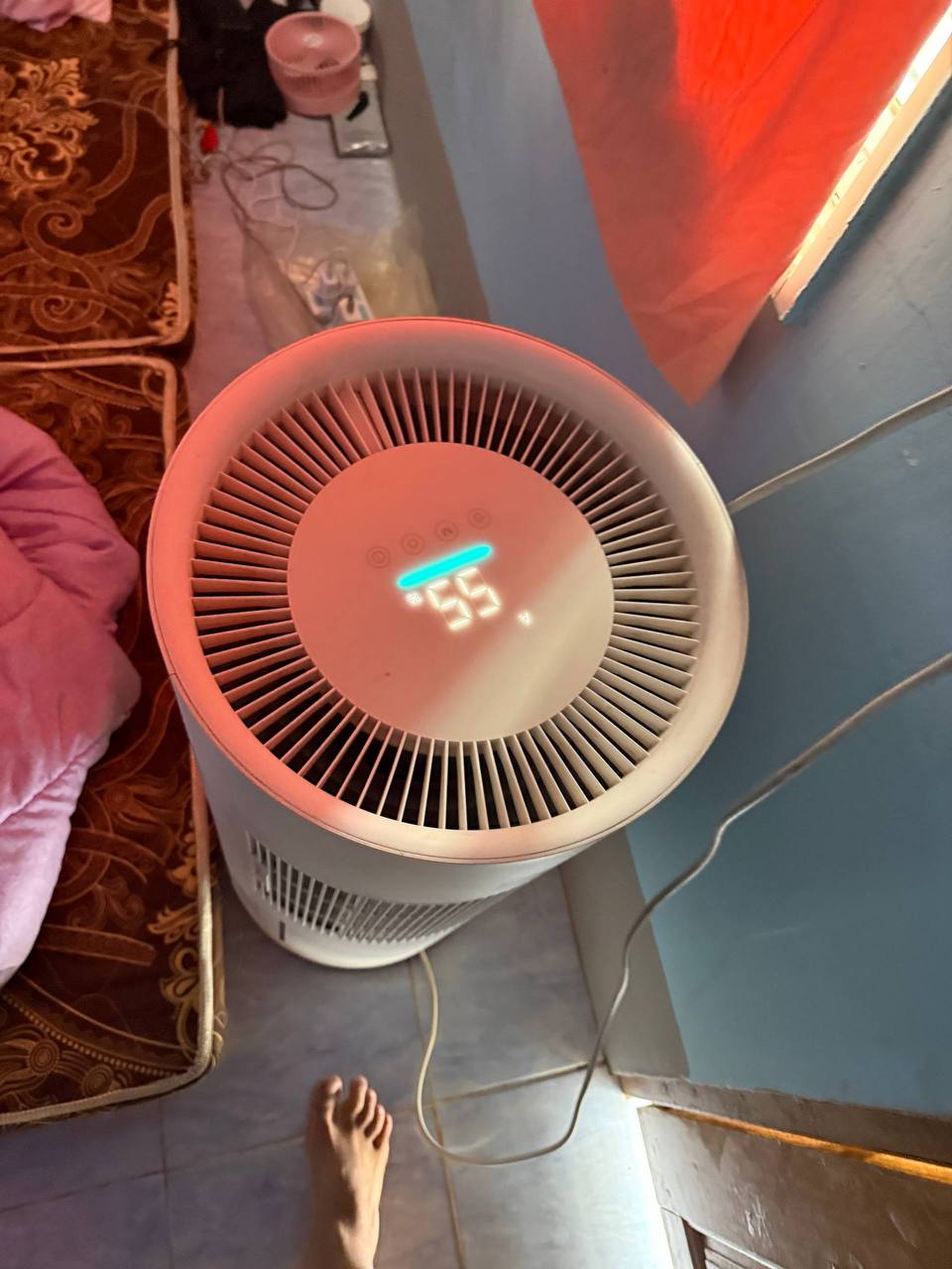 IMAGE 2026-03-10 14:01:22.jpg