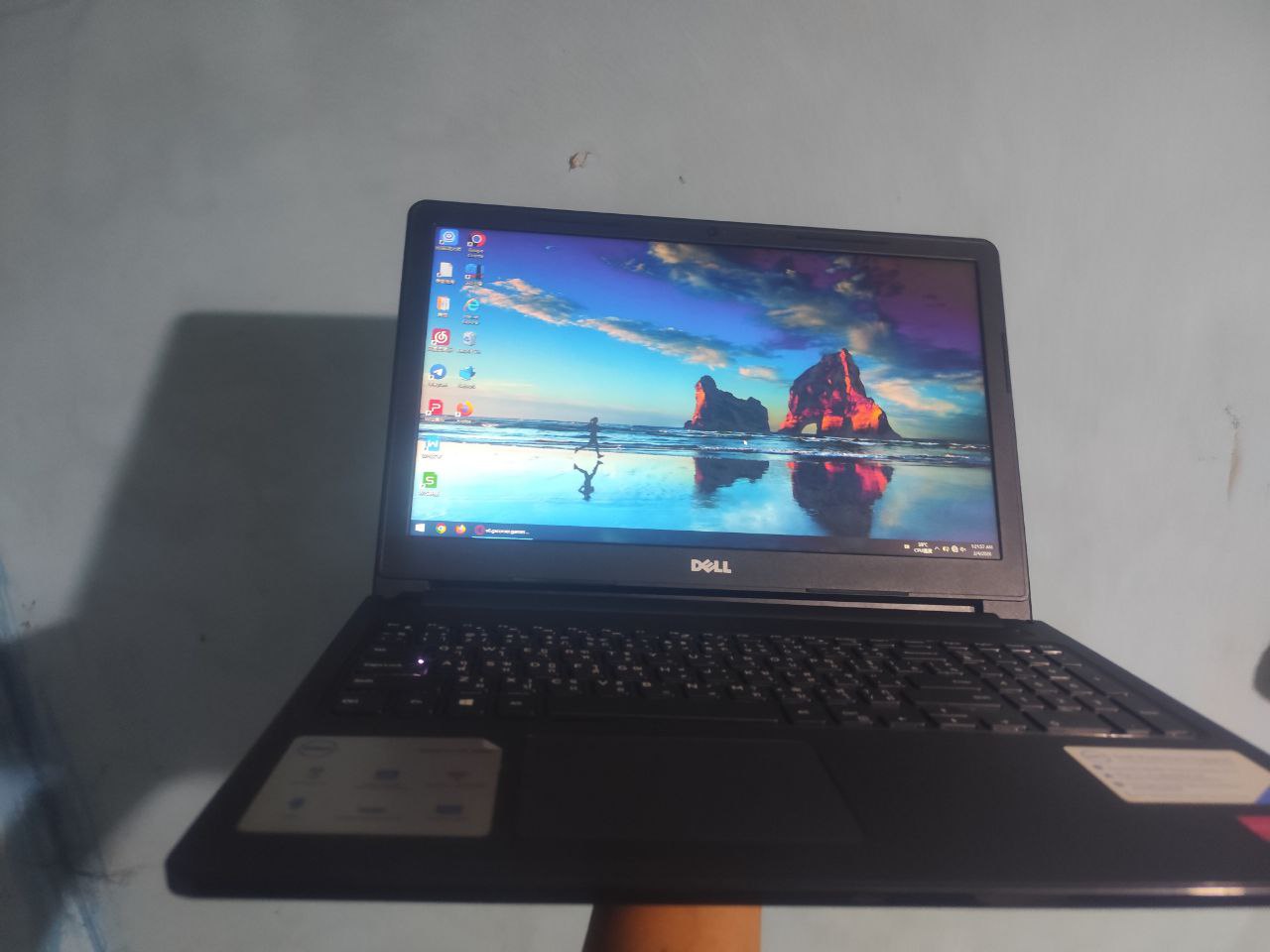 IMAGE 2026-03-10 14:02:21.jpg