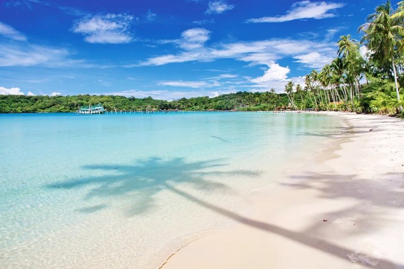 IMAGE 2026-03-10 15:04:56.jpg