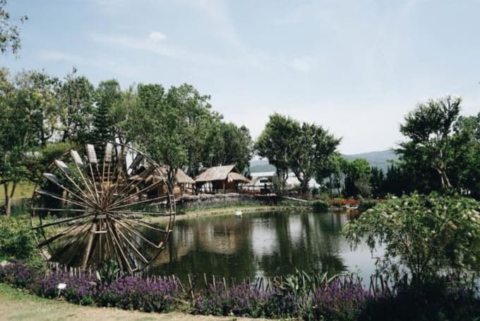 IMAGE 2026-03-10 15:06:42.jpg