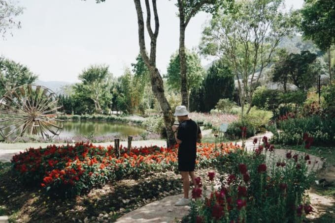 IMAGE 2026-03-10 15:06:43.jpg