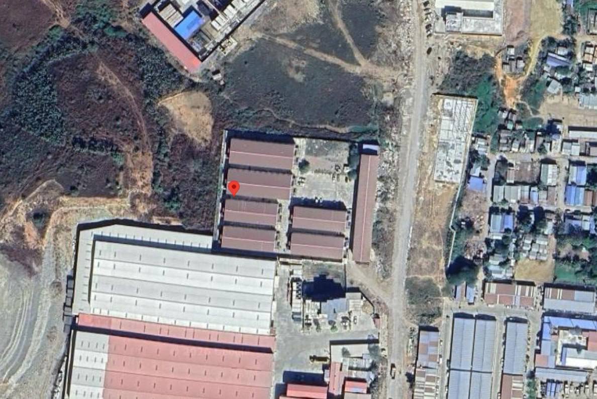 IMAGE 2026-03-12 14:53:17.jpg