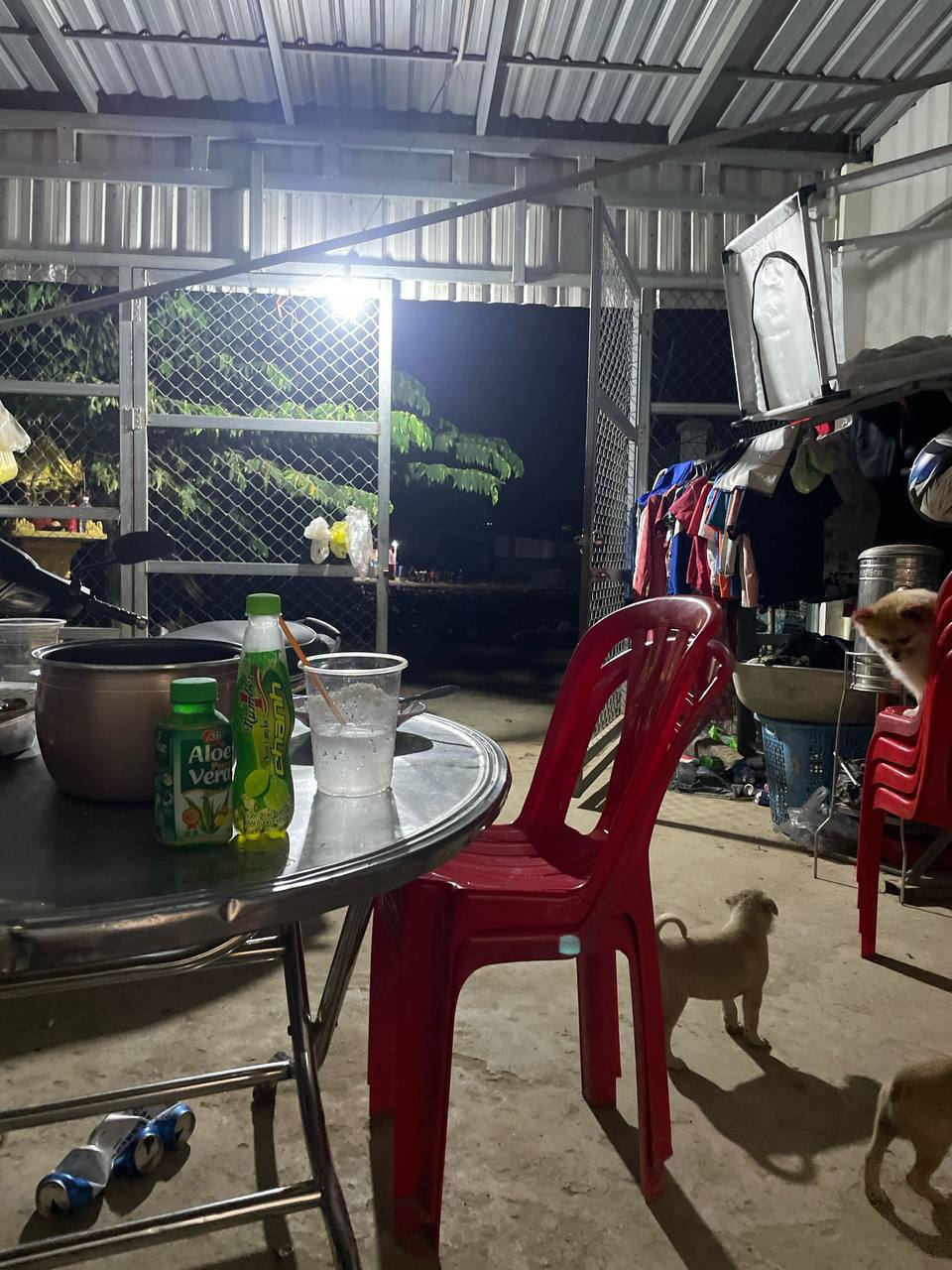 IMAGE 2026-03-13 13:11:49.jpg