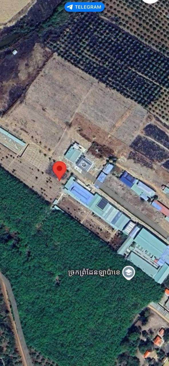 IMAGE 2026-03-13 13:18:21.jpg