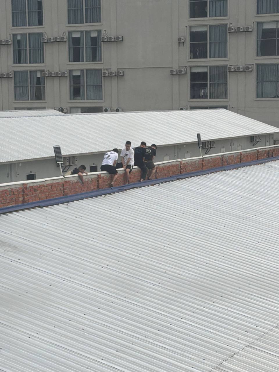 IMAGE 2026-03-13 13:19:47.jpg