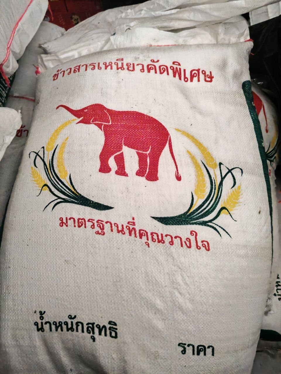 IMAGE 2026-03-16 14:28:50.jpg