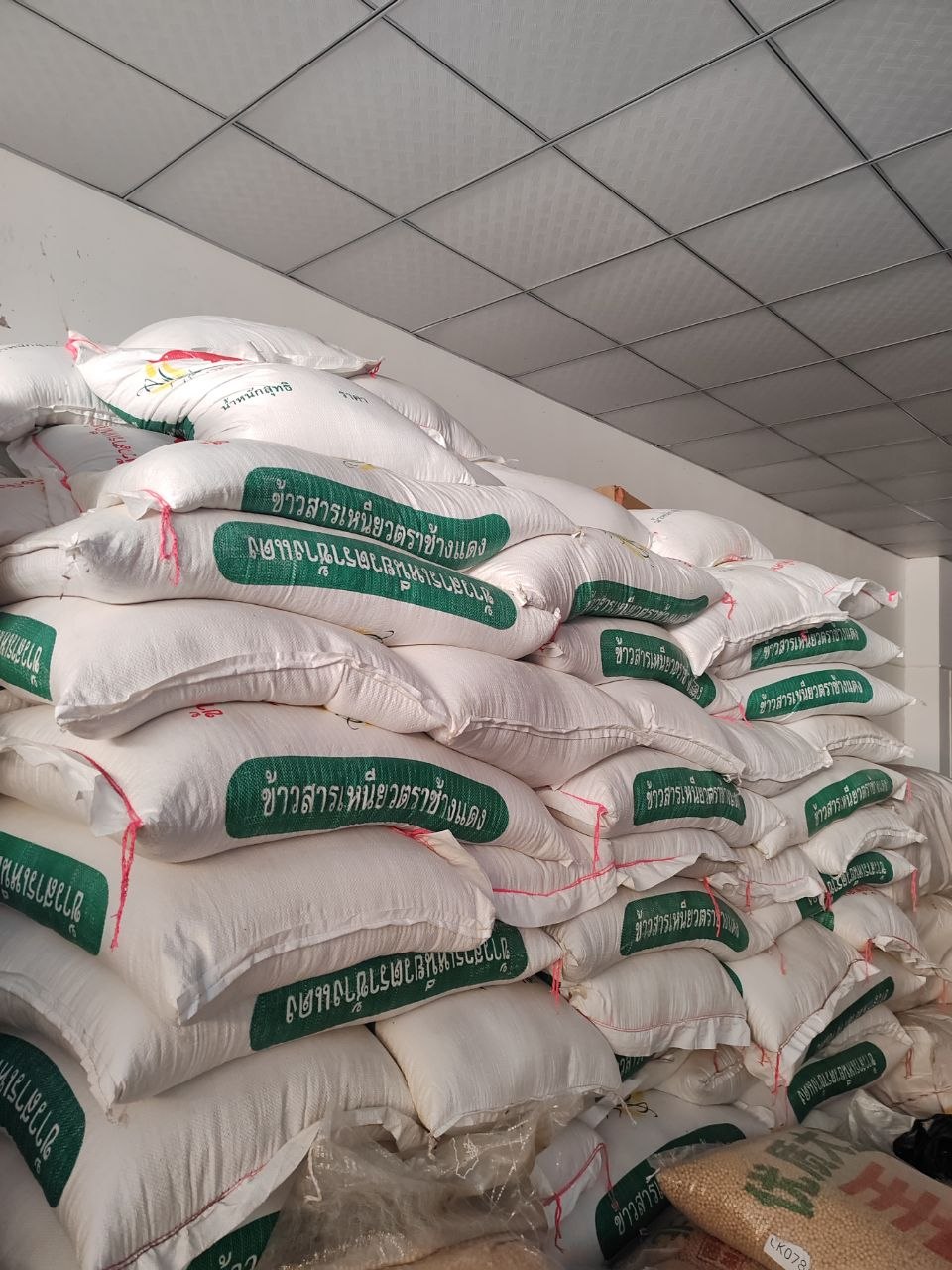 IMAGE 2026-03-16 14:28:53.jpg