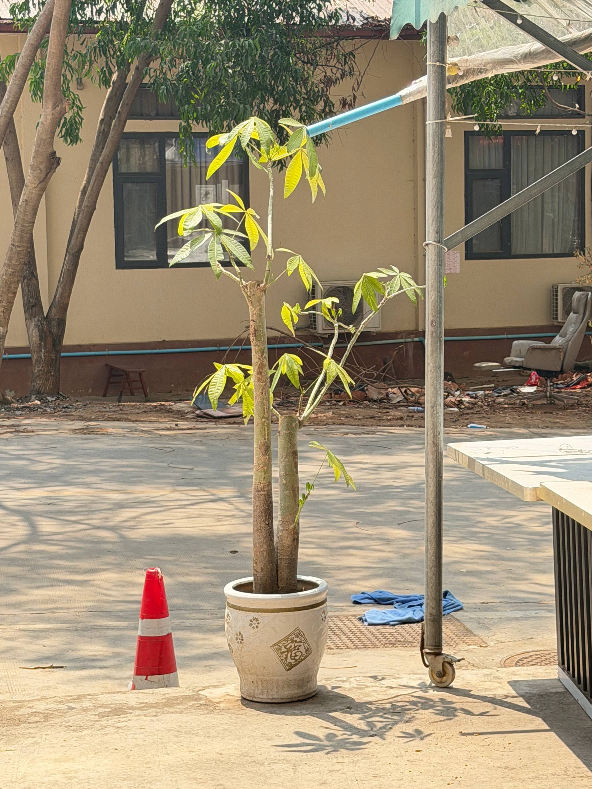 IMAGE 2026-03-17 14:31:45.jpg