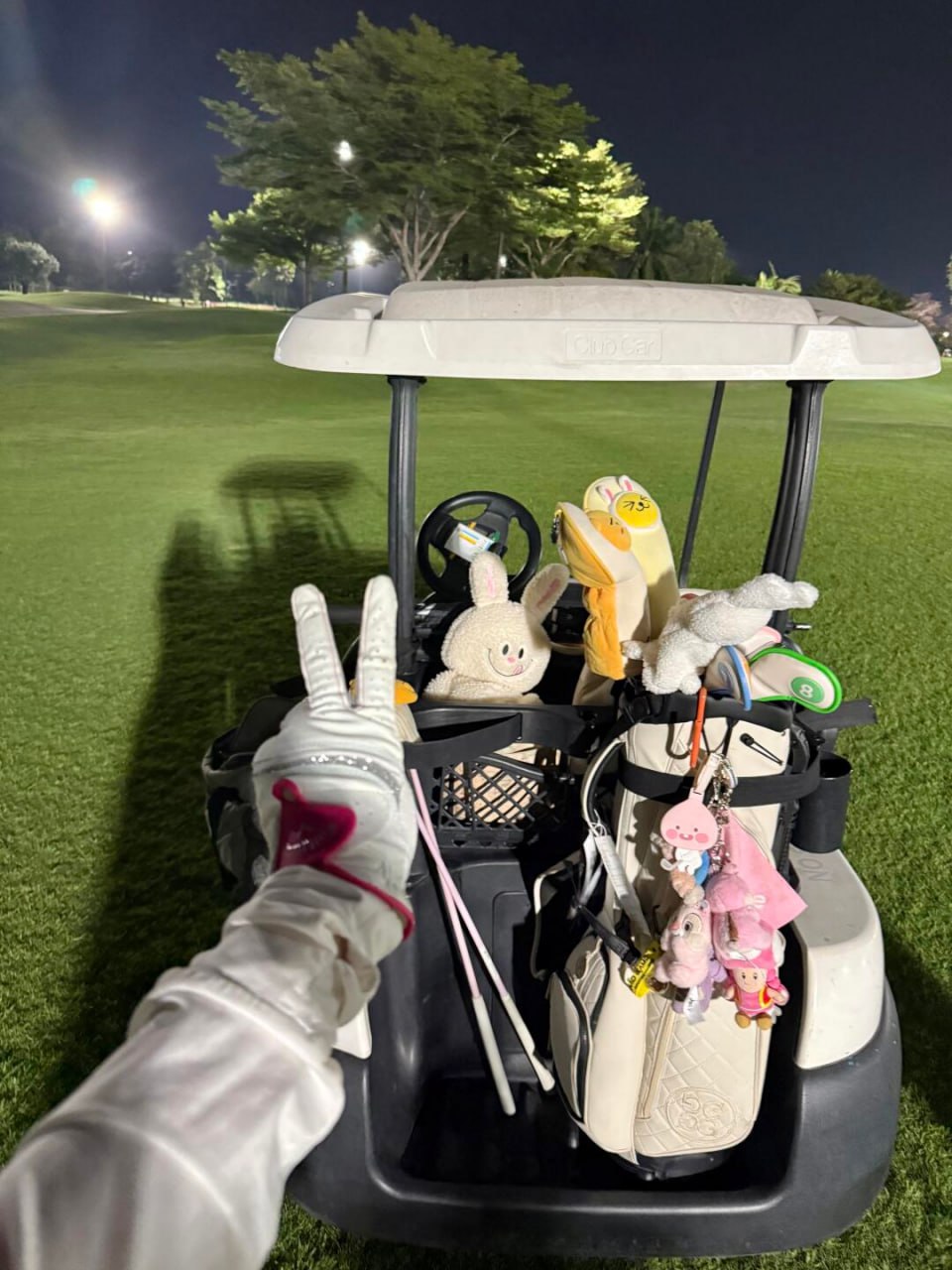 IMAGE 2026-03-20 12:57:07.jpg