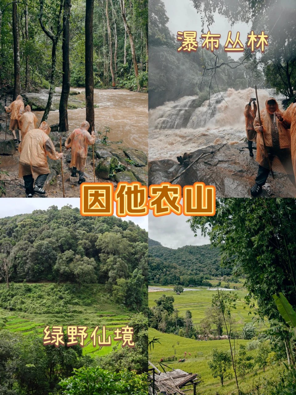 IMAGE 2026-03-20 12:59:54.jpg