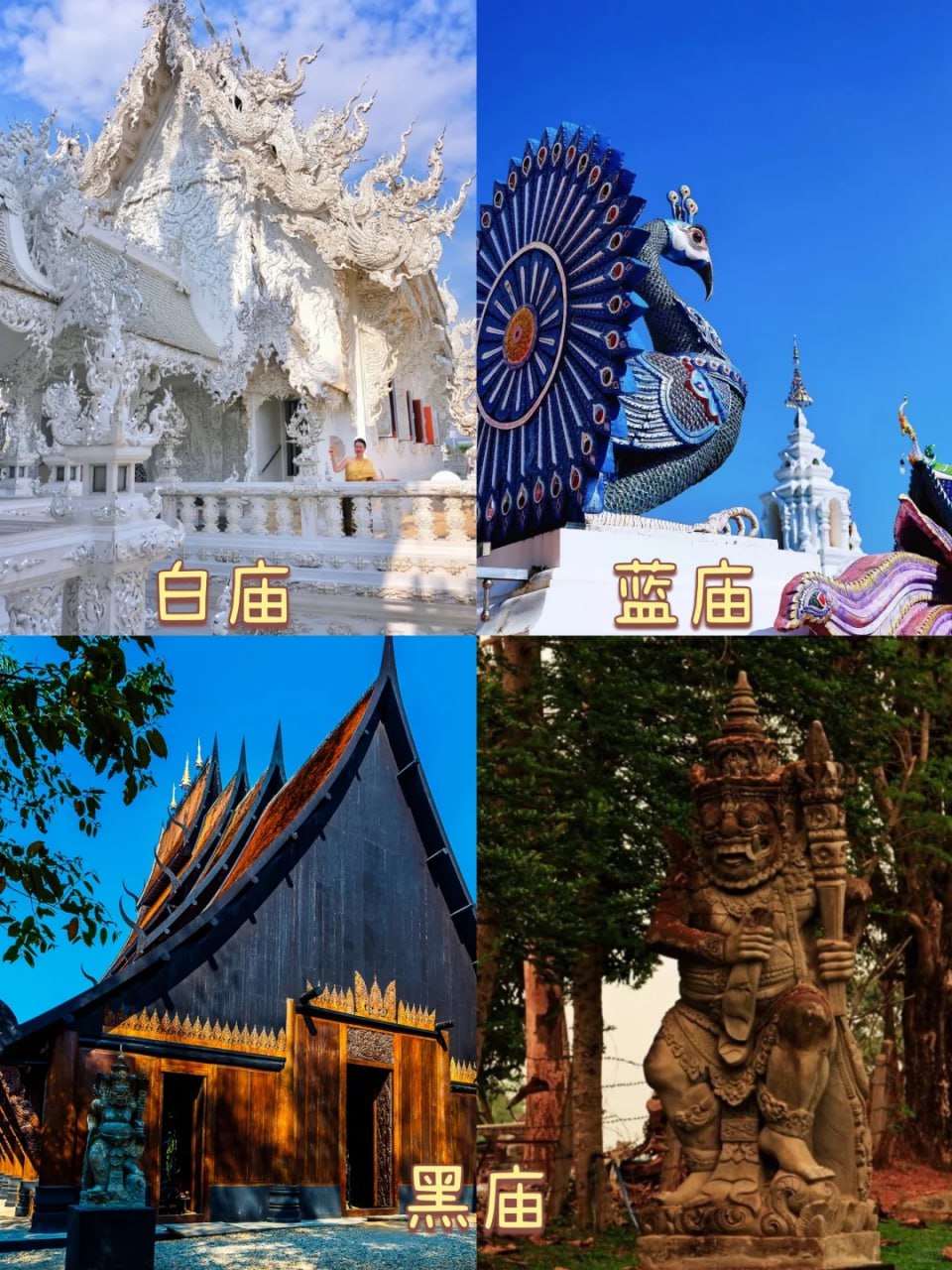 IMAGE 2026-03-20 12:59:55.jpg