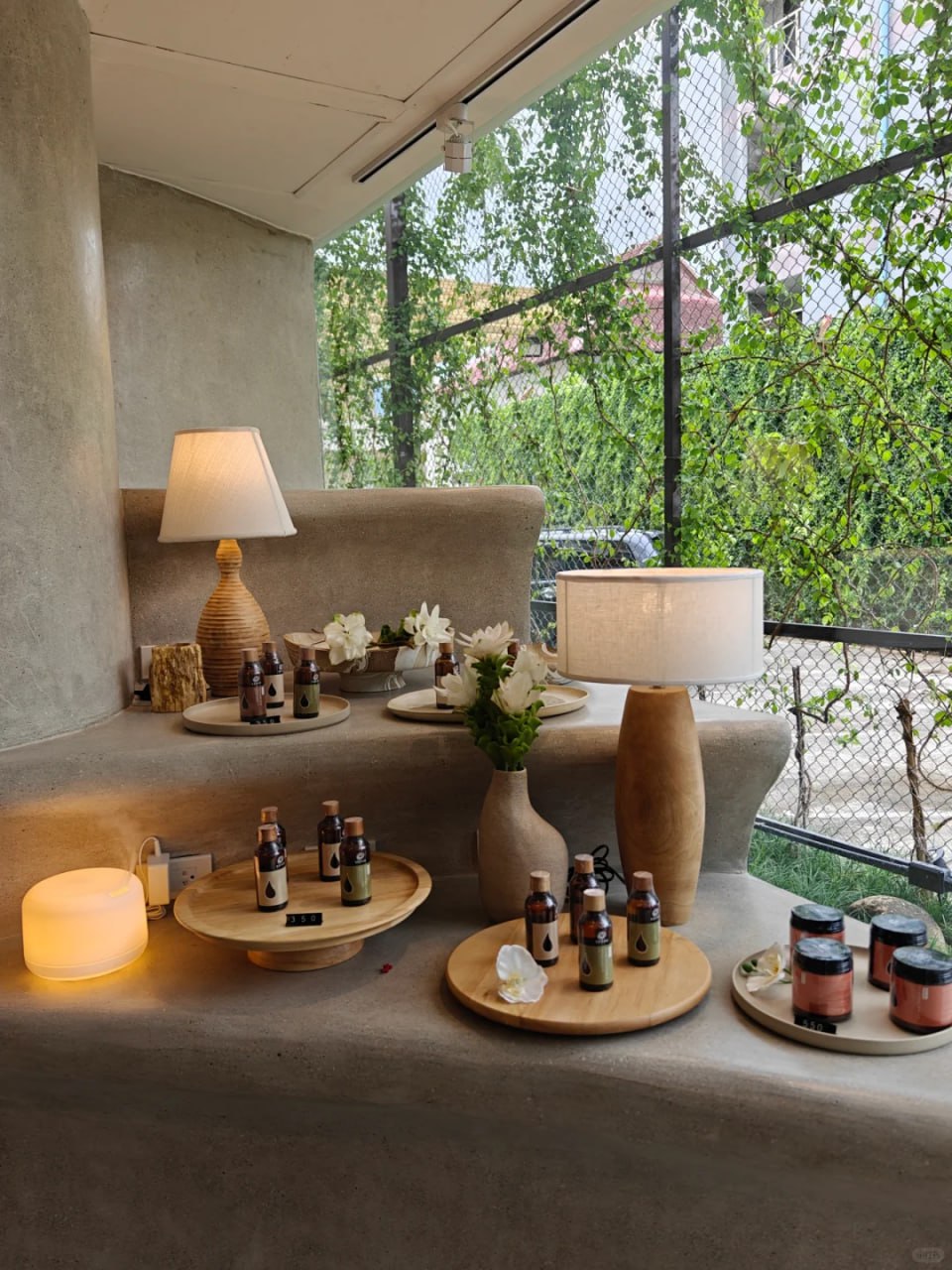 IMAGE 2026-03-20 13:00:00.jpg