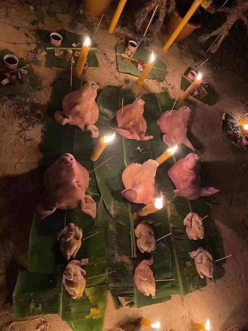 IMAGE 2026-03-23 13:47:57.jpg