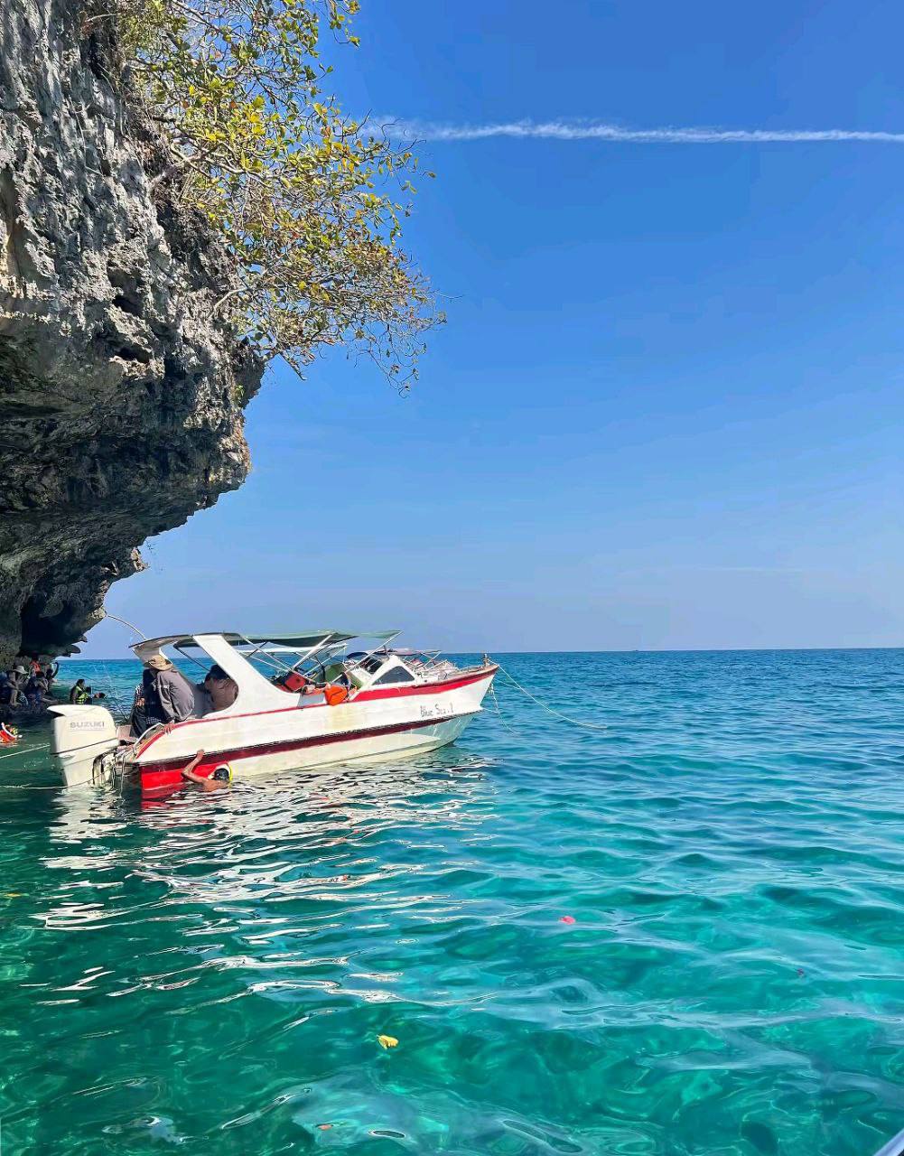 IMAGE 2026-03-23 14:04:08.jpg