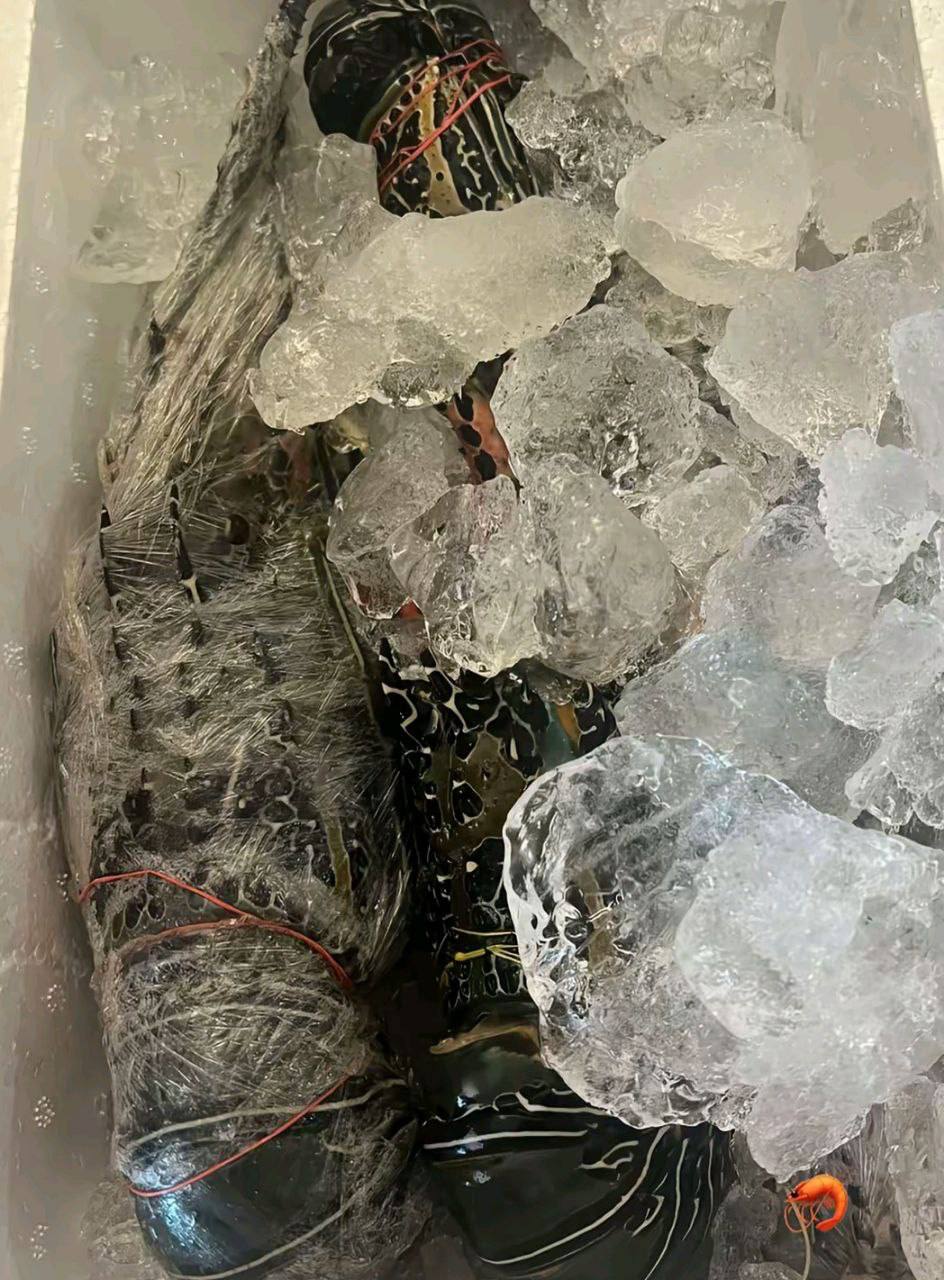 IMAGE 2026-03-23 14:04:10.jpg