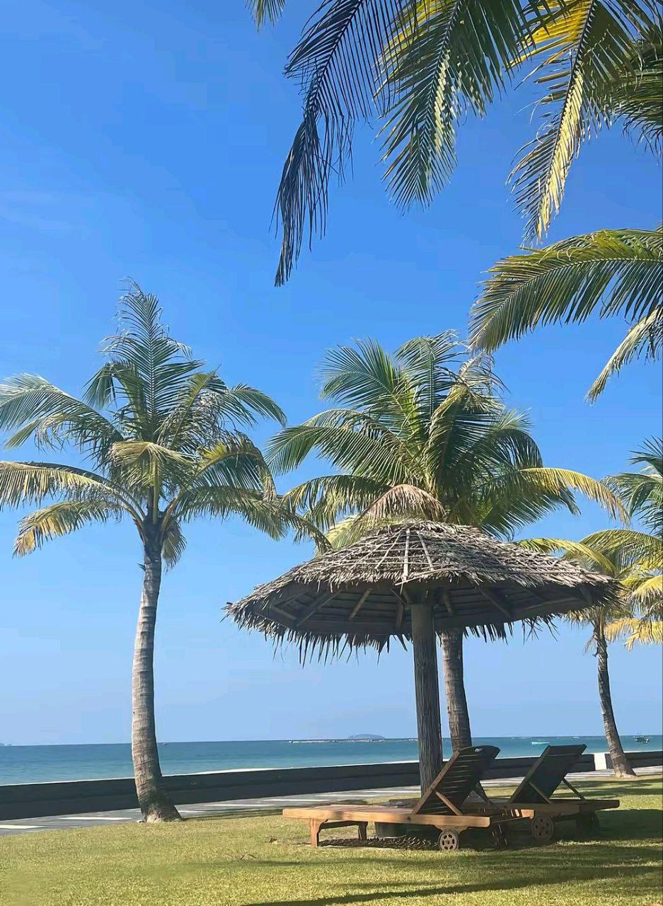 IMAGE 2026-03-23 14:04:13.jpg