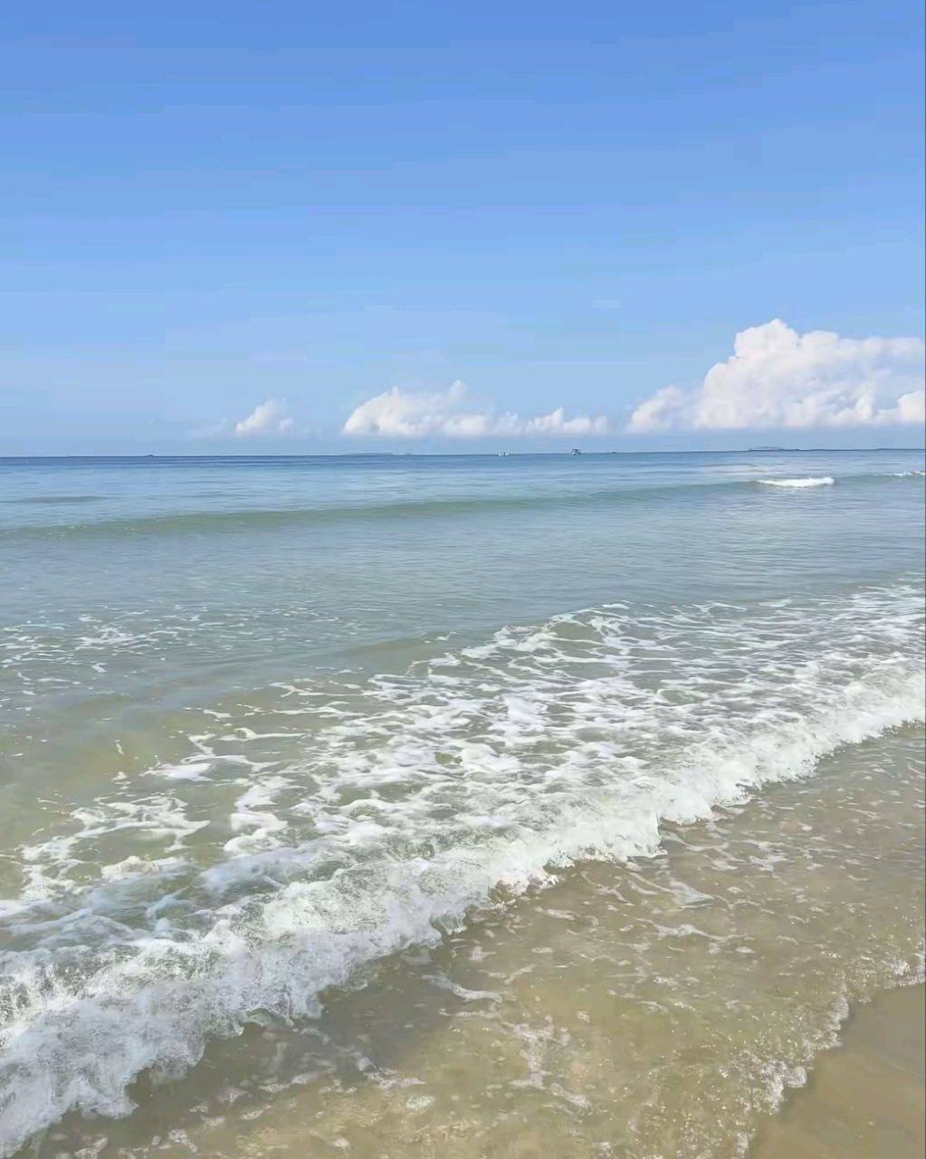 IMAGE 2026-03-23 14:04:16.jpg