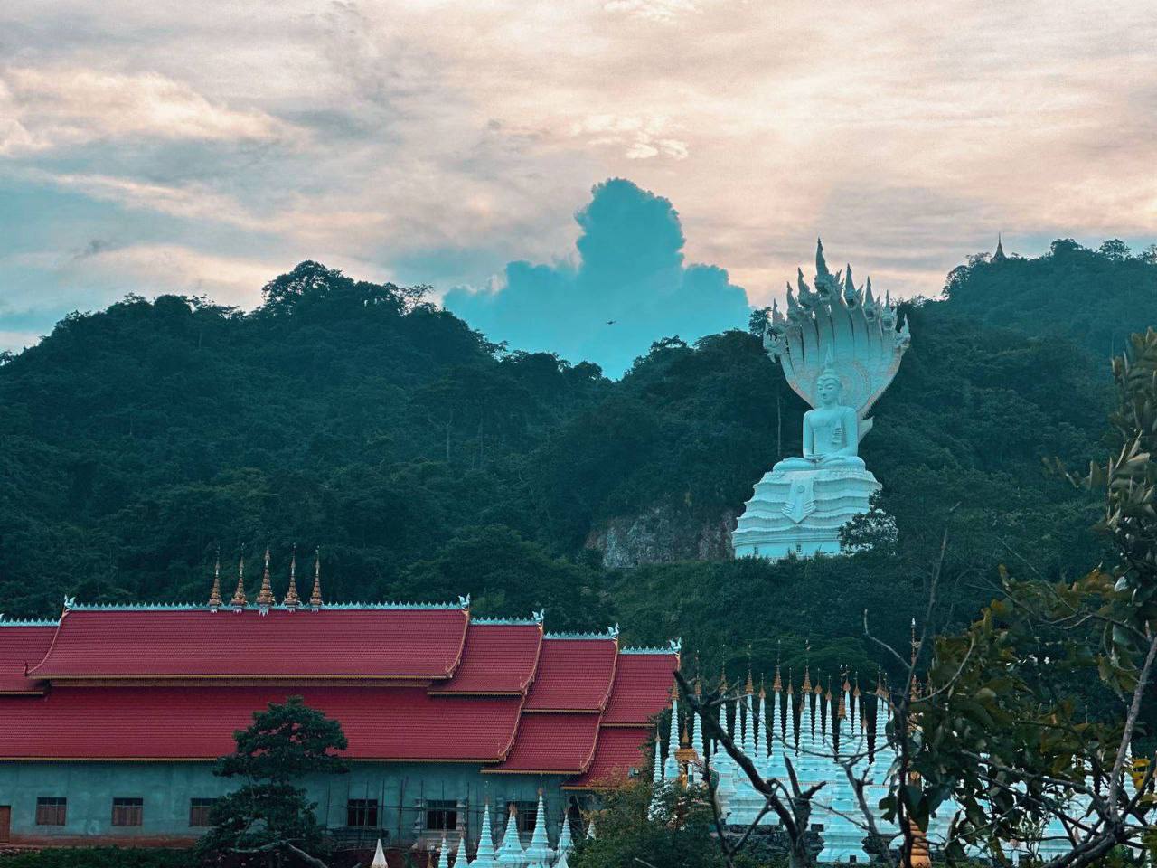 IMAGE 2026-03-23 14:07:38.jpg