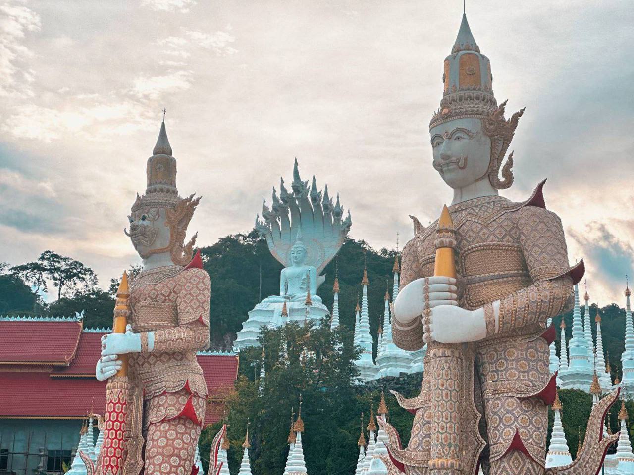 IMAGE 2026-03-23 14:07:42.jpg