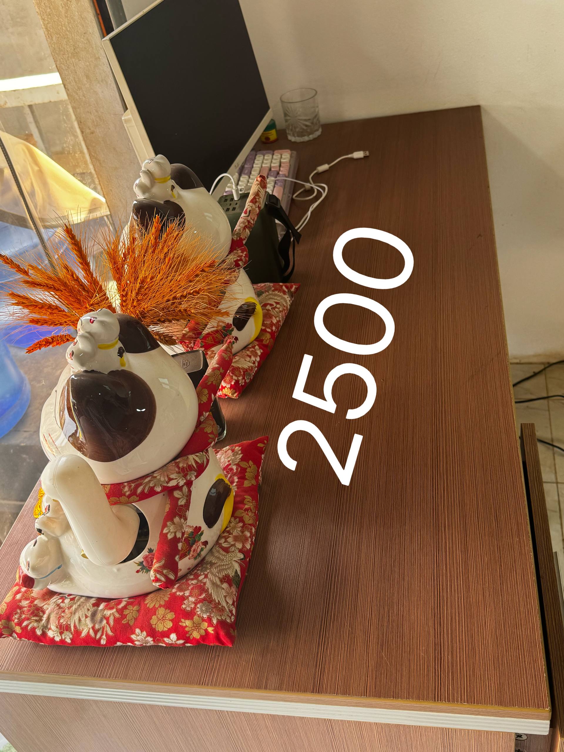 IMAGE 2026-03-23 14:13:00.jpg