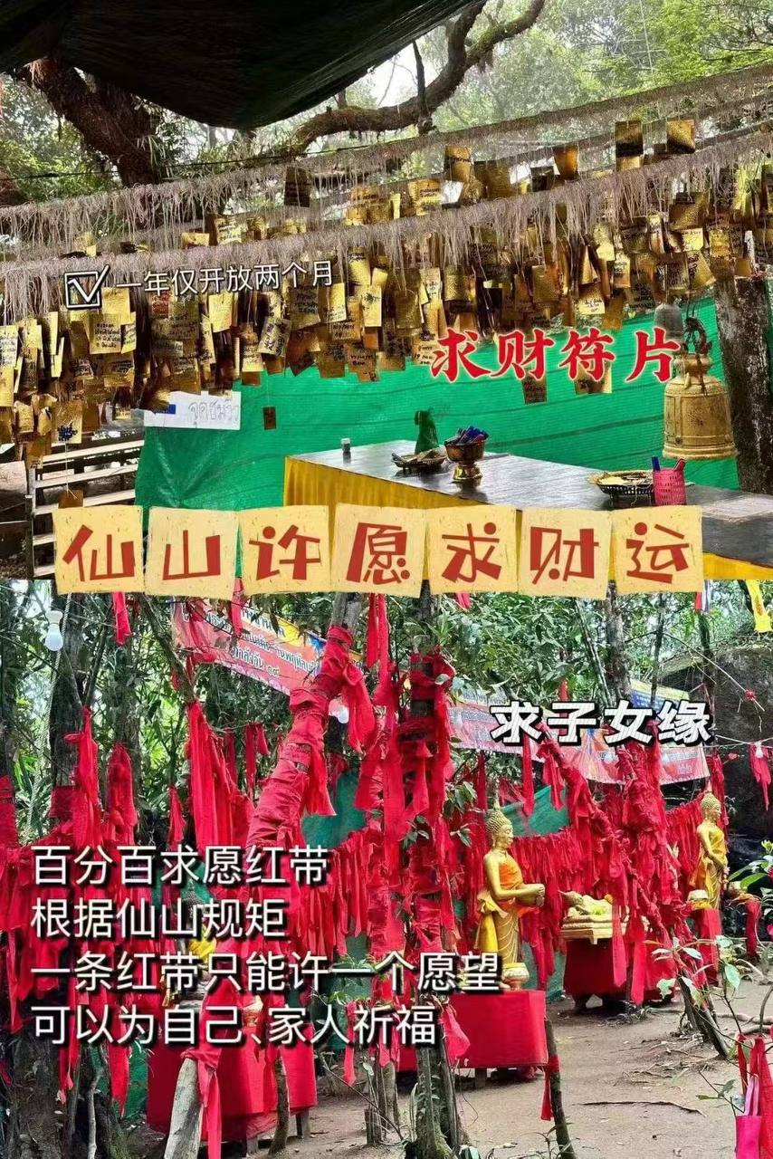 IMAGE 2026-03-24 15:17:33.jpg