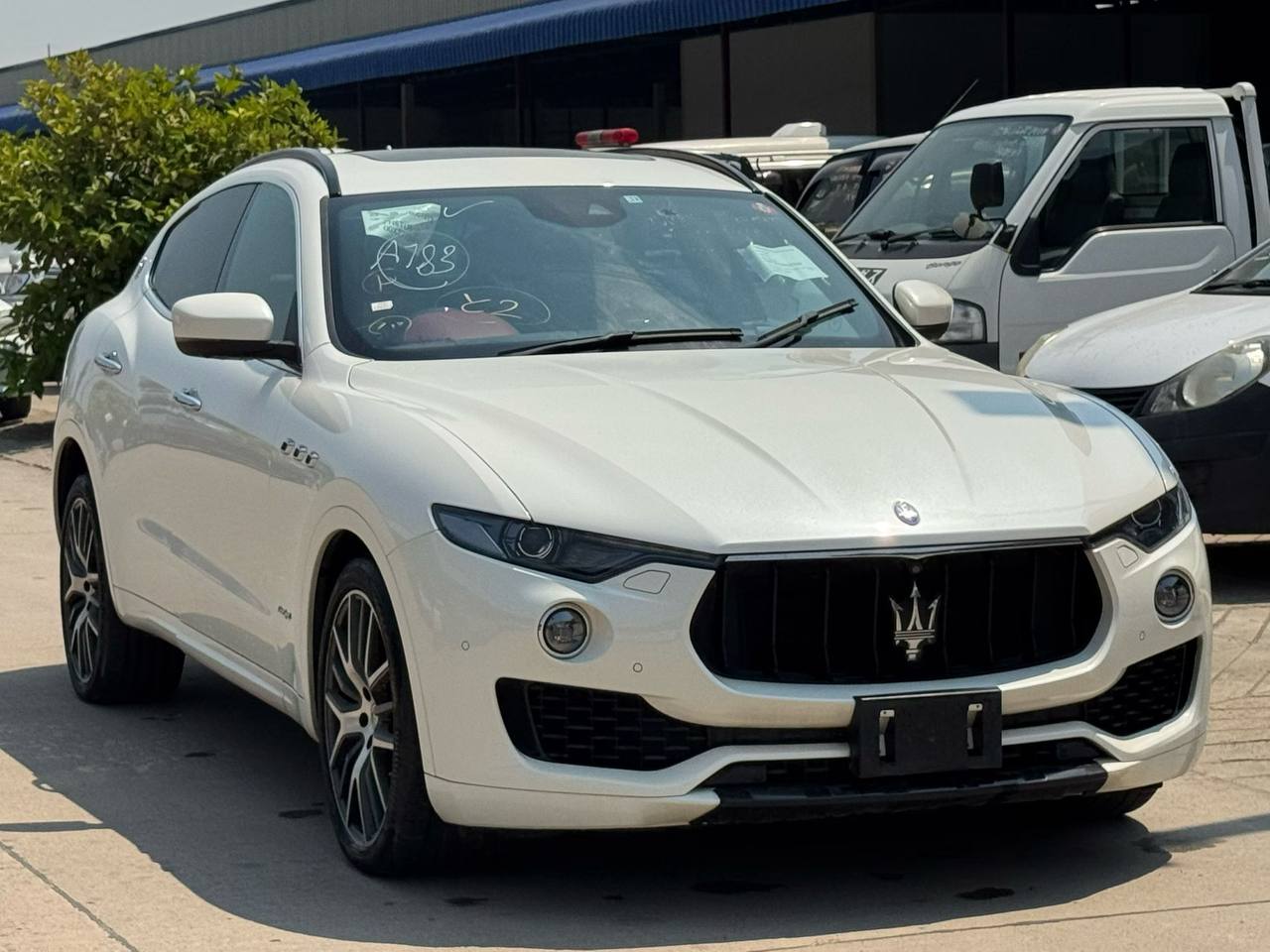 IMAGE 2026-03-24 15:31:35.jpg