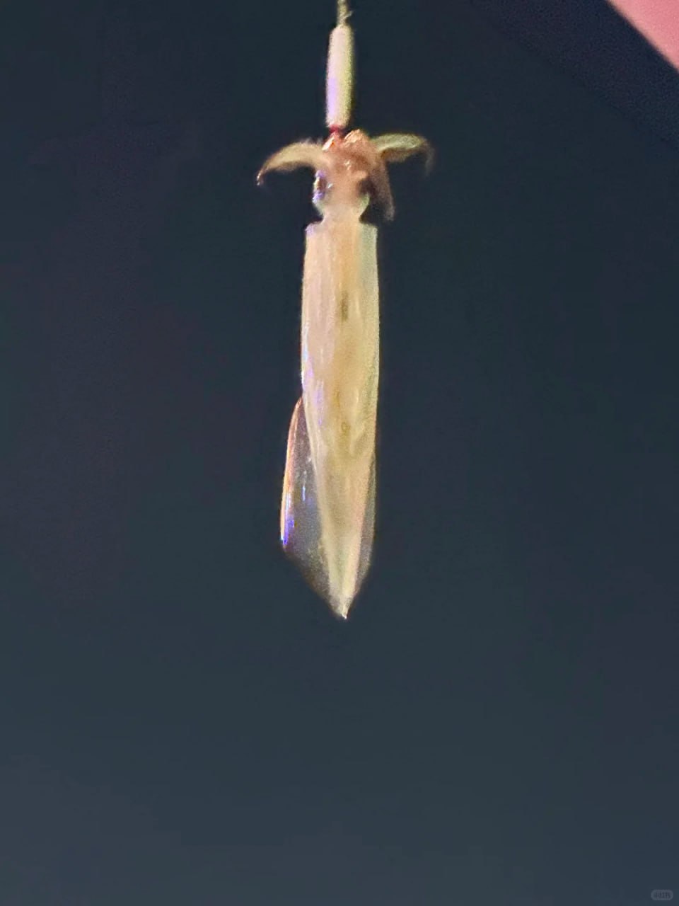 IMAGE 2026-03-24 15:47:32.jpg