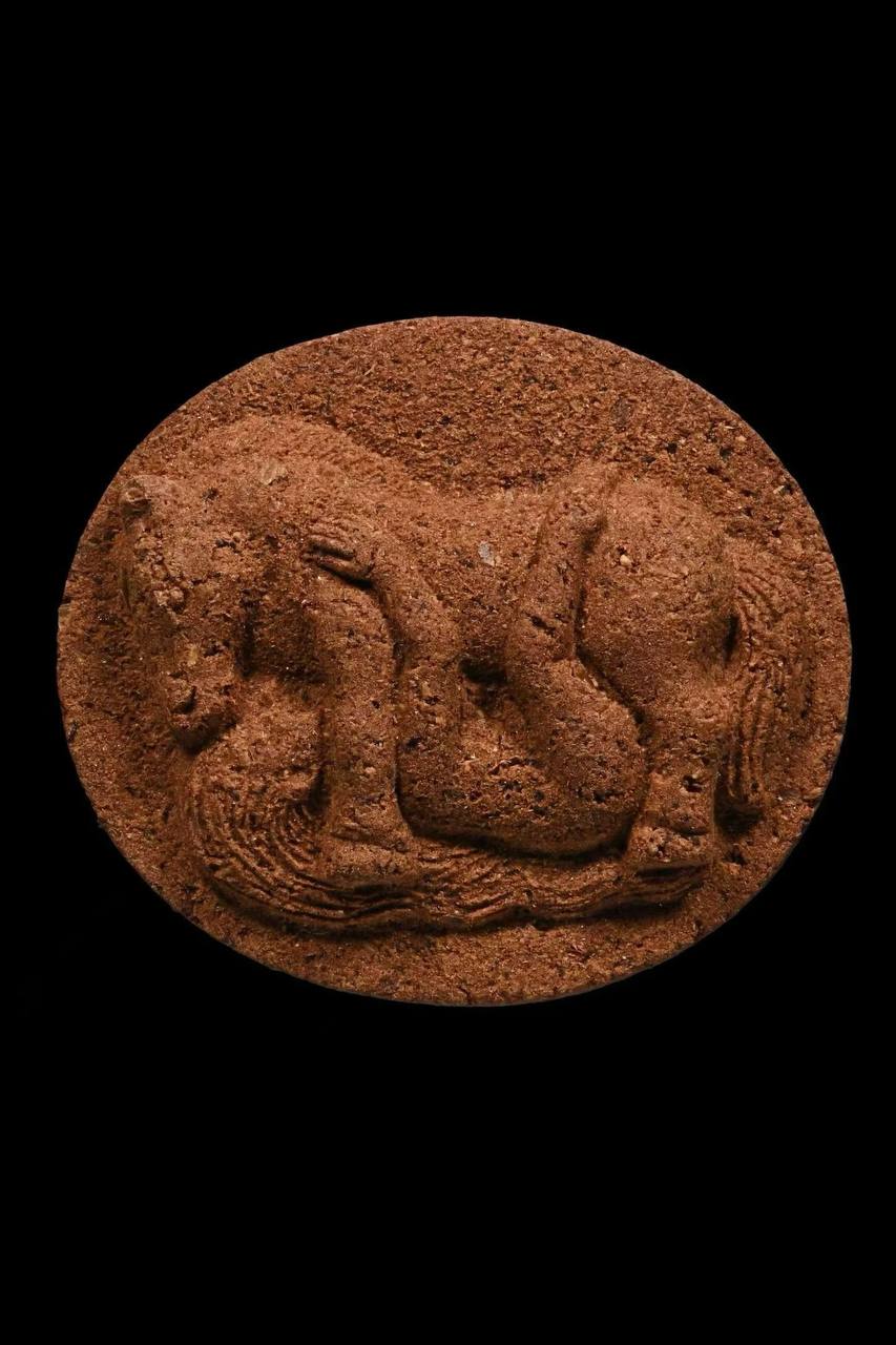 IMAGE 2026-03-25 15:00:44.jpg