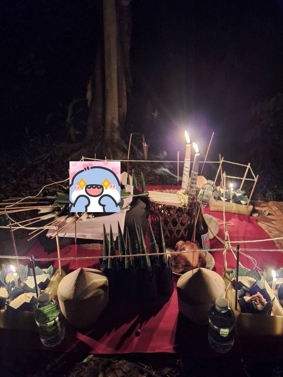 IMAGE 2026-03-26 11:54:08.jpg