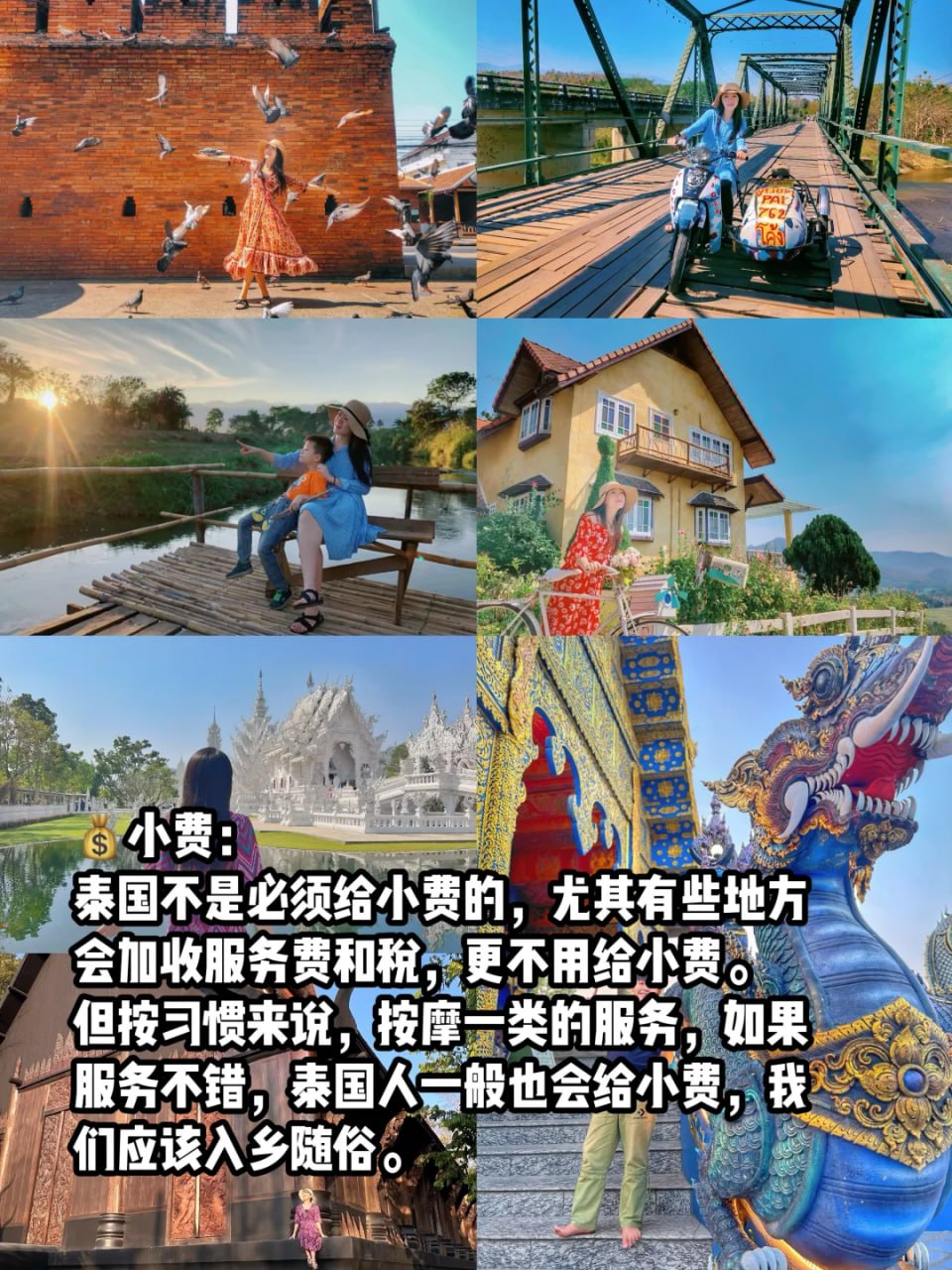 IMAGE 2026-03-26 12:01:03.jpg