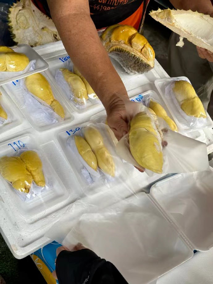 IMAGE 2026-03-27 15:33:06.jpg