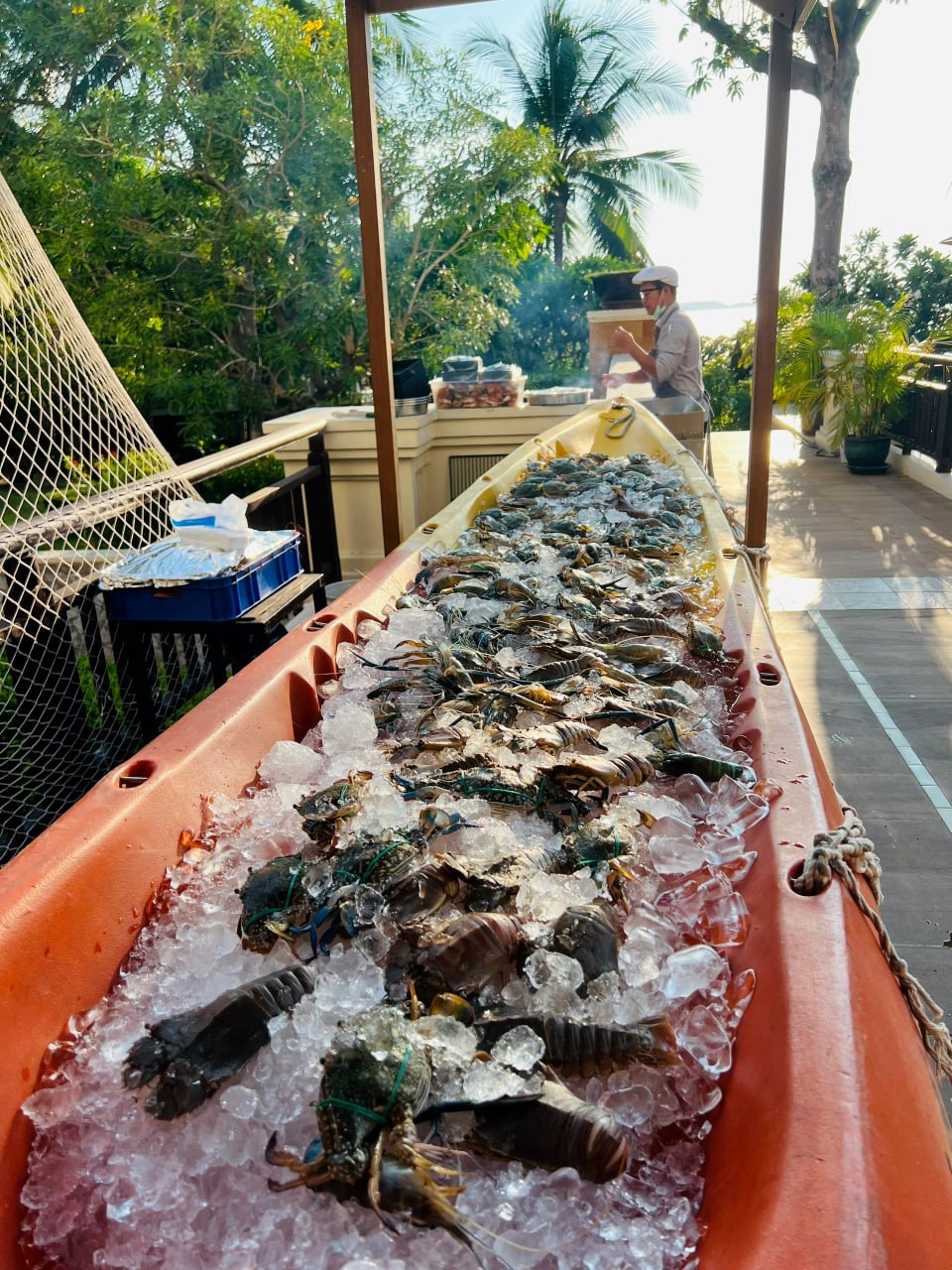 IMAGE 2026-03-28 15:25:22.jpg