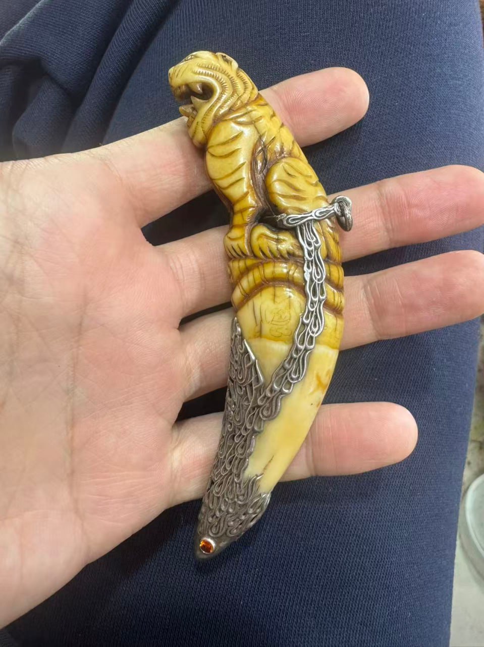 IMAGE 2026-03-31 13:18:19.jpg