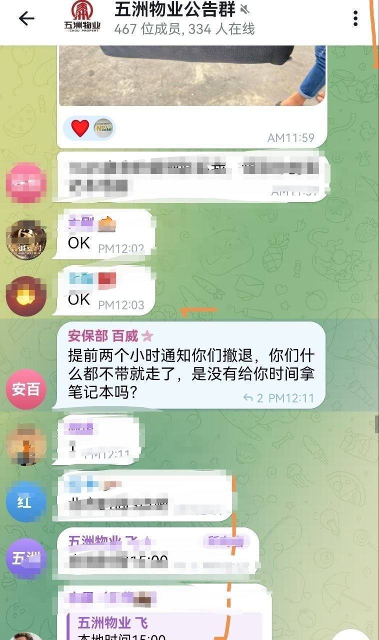 IMAGE 2026-03-31 14:01:51.jpg