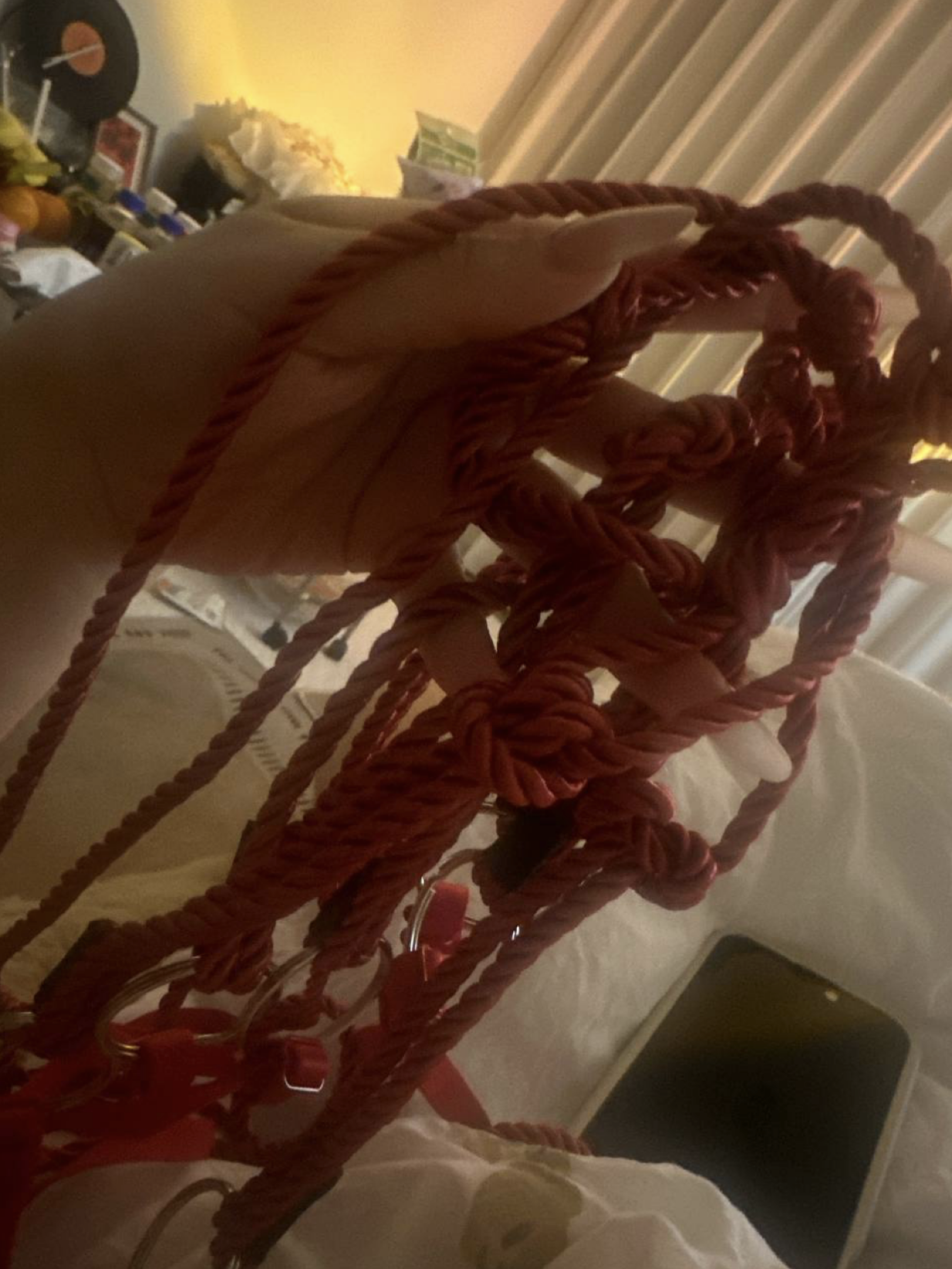 Pasted Graphic 25.png