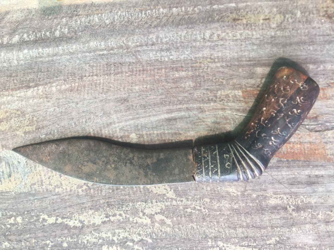 IMAGE 2026-04-03 19:01:16.jpg