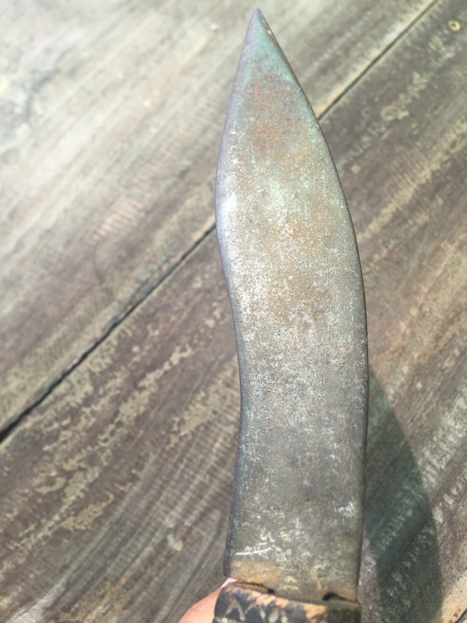 IMAGE 2026-04-03 19:01:24.jpg