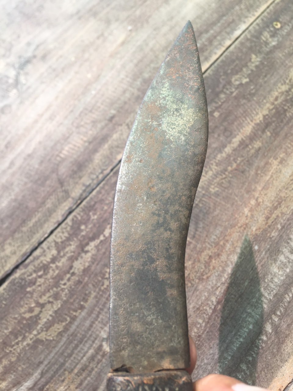 IMAGE 2026-04-03 19:01:26.jpg