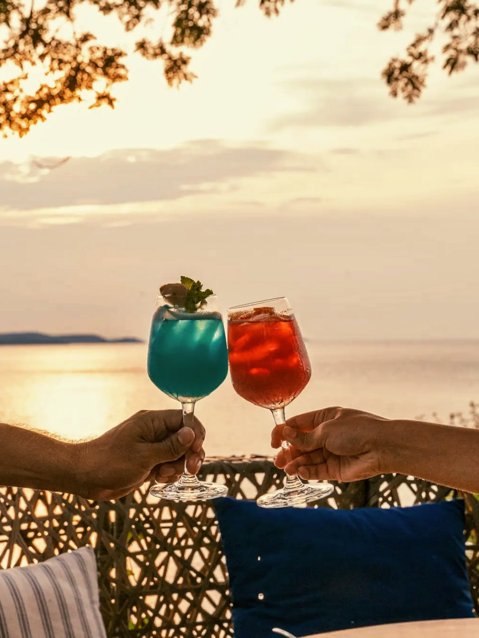 IMAGE 2026-04-03 19:04:05.jpg