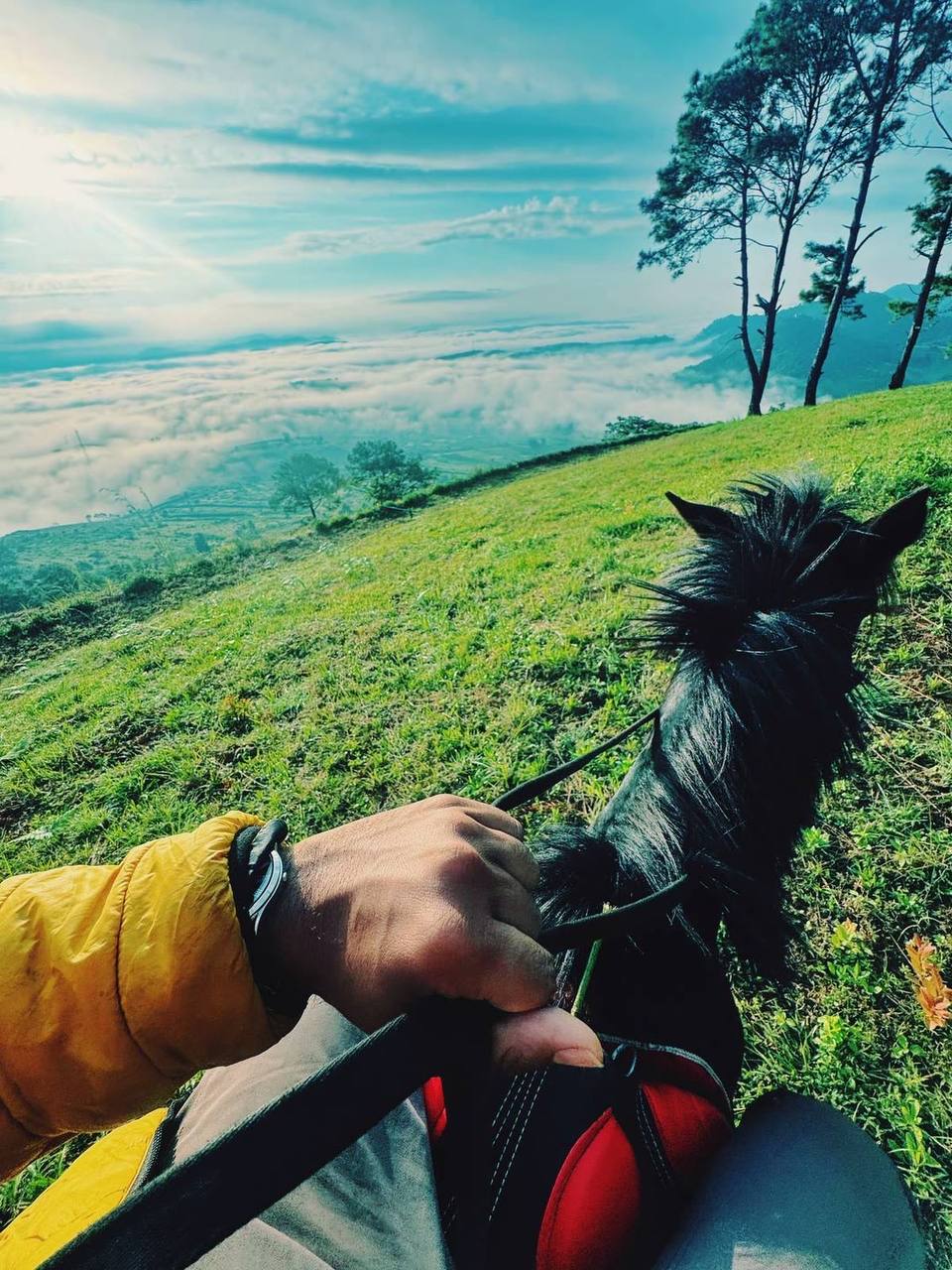 IMAGE 2026-04-04 18:05:57.jpg