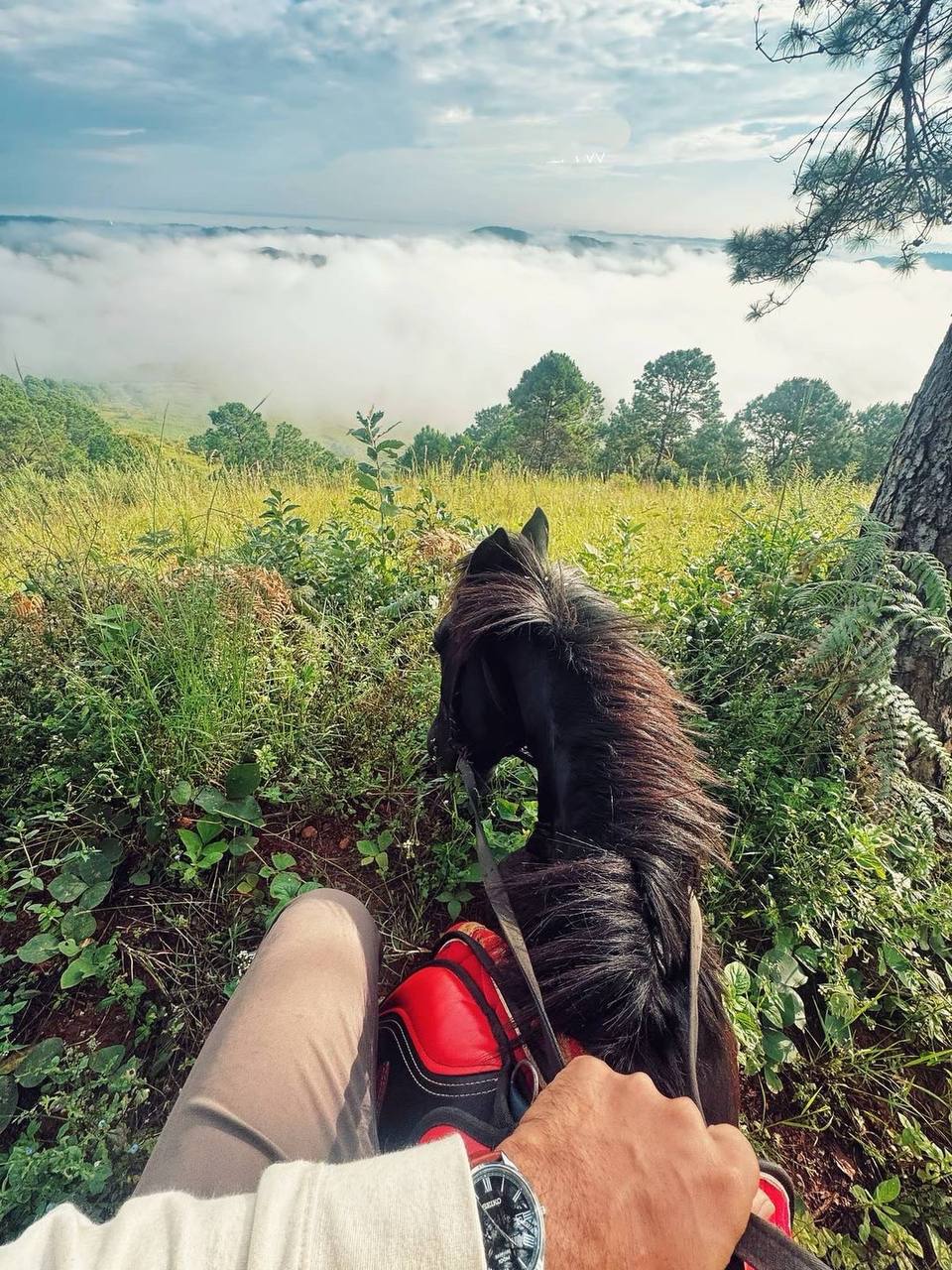 IMAGE 2026-04-04 18:05:58.jpg