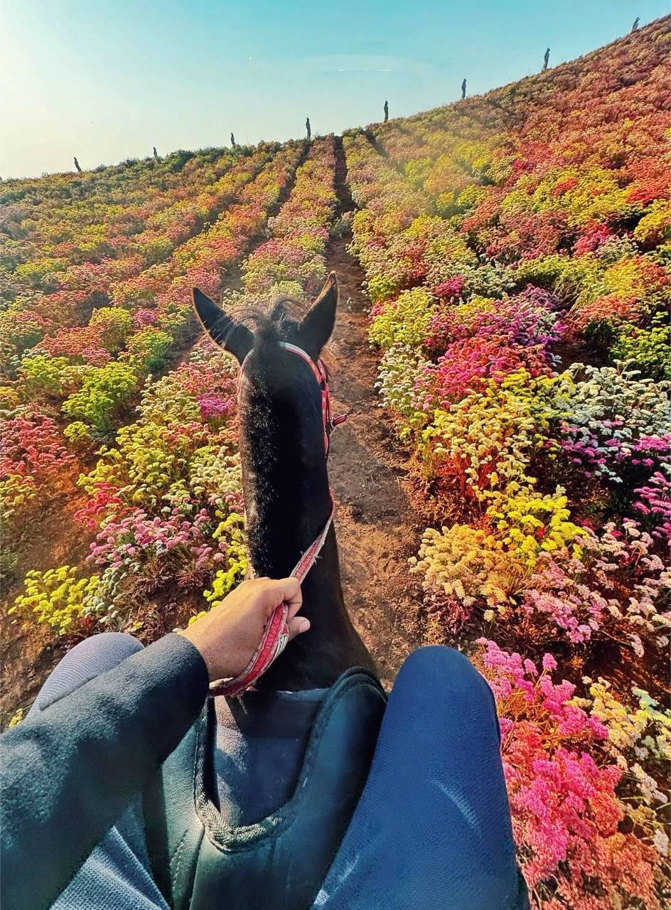 IMAGE 2026-04-04 18:06:00.jpg