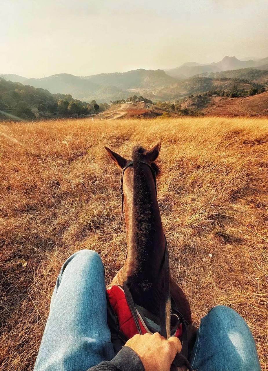 IMAGE 2026-04-04 18:06:01.jpg